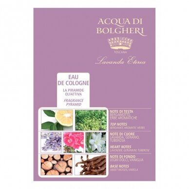 Dr. Taffi odekolonas EDC Acqua Di Bolgheri Lavanda universalus, 80 ml 1