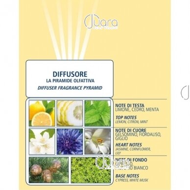 Dr. Taffi home fragrance Acqua di Bolgheri INDACO 2