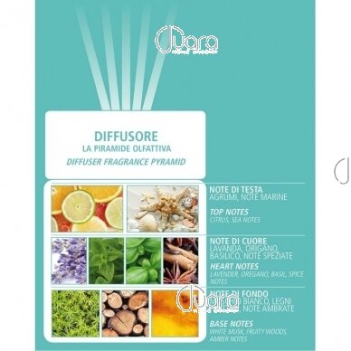 Dr. Taffi home fragrance Acqua di Bolgheri MAESTRALE 1