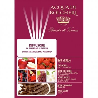 Dr. Taffi home fragrance - addition to Acqua di Bolgheri BACCHE DI VINUM, 500 ml 1